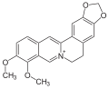 Berberin (jedno dodatno zatvaranje prstena sa N-metil inkorporacijom)