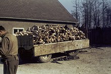 A wagon piled high with corpses outside the crematorium in the Buchenwald concentration camp liberated by the U.S. Army, 1945 Buchenwald Corpses 60623.jpg