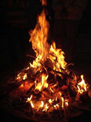 A fire lit using twigs and pine cones.