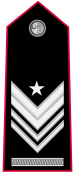 brigadiere capo