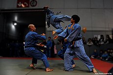 Ciseaux vovinam belgique.jpg