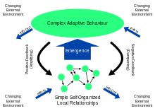 Complex Adaptive Systems Complex adaptive system.svg