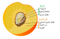 تصغير للنسخة بتاريخ 21:51، 29 يوليو 2023