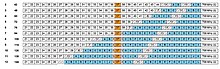 The Federal Communications Commission's estimates on how many channels will be re-allocated from television broadcasts to mobile phones. Option 7 (84 MHz, or everything above UHF 37) was the ultimate outcome. FCC 600-MHz-Bandplan.jpg