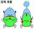 2022년 7월 1일 (금) 02:19 판의 섬네일