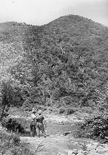 Phot noir et blanc d'une colline boisée.