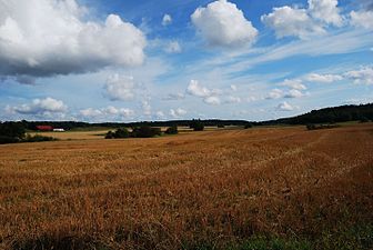 Jordbrukslandskap i Hågadalen.