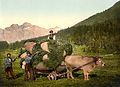 Vers 1900 dans la vallée suisse d'Engadine.