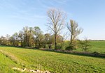 LSG Beller Holz und Niederbeller Bachtal