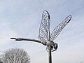 Dragonfly sculpture at Hounslow Heath