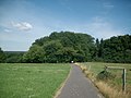 Blick von Glashütten auf das Waldstück mit dem Kleinkastell Maisel. Zu sehen ist auch der Weg nach Kröftel.