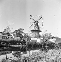 Adorned sails signalling festivities, during yearly October 3 Festival (1961)