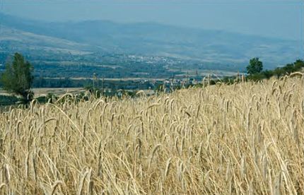 Das (Cerdanya), 1 d'agost de 2007