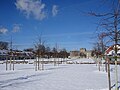 Platzraum mit Rasenflächen, Gehölzbestand und historischem Wegenetz