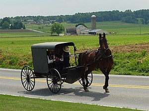 Amish family riding in a traditional Amish bug...