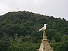 A vista de pajaro