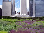 Lurie Garden mit dem Jay Pritzker Pavilion und den Wolkenkratzern an der Randolph Street im Hintergrund