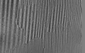 Magnetic domains and domain walls in oriented silicon steel (Image made with CMOS-MagView).