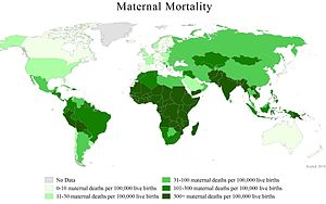 A map of the world showing country-level mater...