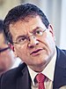 Maros Sefcovic MSC 2017 (cropped).jpg