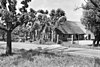 Boerderij "Middel-stee" met puntgevel en links uitgebouwde, onderkelderde opkamer. Rieten wolfdak. Vensters met 9-, 12- en 16-ruitsschuifvensters. De kelder heeft koepelvormioge welfbogen en dikke muren. Op een van de dakbalken staat "1565, 21 maart, Sterk IJs". De naam Middel-stee is te danken aan de centrale ligging tussen de omringende steden en dorpen. Tussen 1990 en 2002, is de hoeve volledig gerestaureerd.[2]