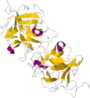 Кристаллографическая структура димерного миракулина