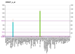 PBB GE CTSE 205927 s в формате fs.png