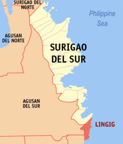 Mapa ng Surigao del Sur na nagpapakita sa lokasyon ng Lingig.