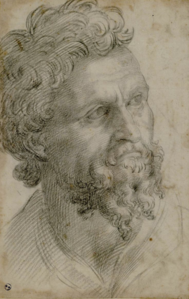 Benvenuto Cellini, Parrakas mies. Paperi, grafiitti (1540–1543) (?) Royal Library, Torino.