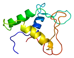 Белок ERG PDB 1fli.png