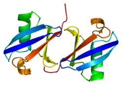 Протеин UBA52 PDB 1aar.png