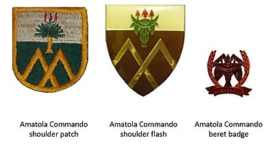 SADF era Amatola Commando insignia