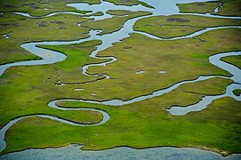 Salt marsh, Core Banks