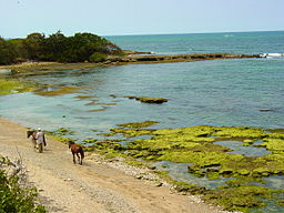 Kustparti i Puerto Plata.