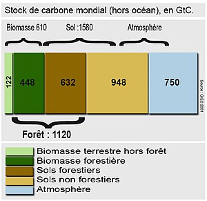 Français : Stock de carbone mondial (hors océa...