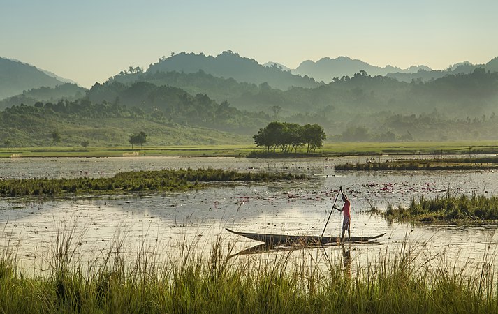 The swamp area of Dibir Haor, in the Bangladesh-India border region at Jointapur near Sylhet.