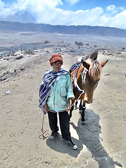 Tenggerese tribe pony owners at Mt Bromo.JPG