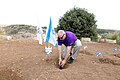 תמונה ממוזערת לגרסה מ־07:37, 8 באוקטובר 2016