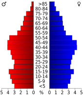 Bevolkingspiramide Mingo County