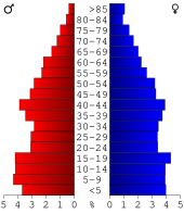 Bevolkingspiramide Wayne County