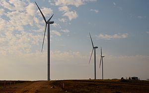 Three windmills in a field at golden hour