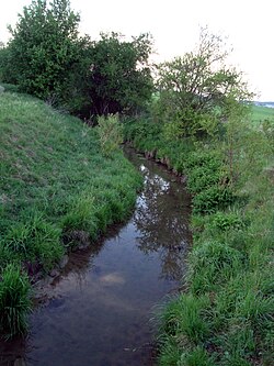 Říčanský potok v Rosicích