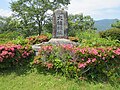 2017年6月24日 (土) 06:22時点における版のサムネイル