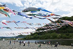 2013年の泳げ鯉のぼり相模川