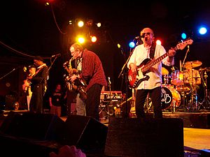 The Average White Band performs in Rochester, NY.