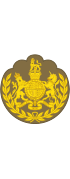 Британская армия (1920-1953) OR-9b.svg