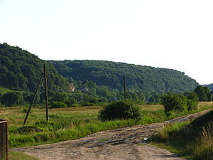 Північна околиця лісу (біля с. Воля-Гомулецька)