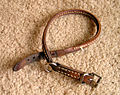 buckle collar