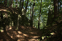 Bild 8: Profil des in den Fels geschlagenen Halsgrabens, links das Burggelände