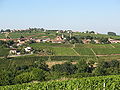 Vue d'ensemble du village de Chânes.